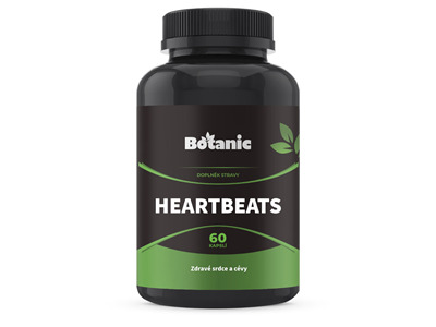 HeartBeats - Zdravé srdce a cévy